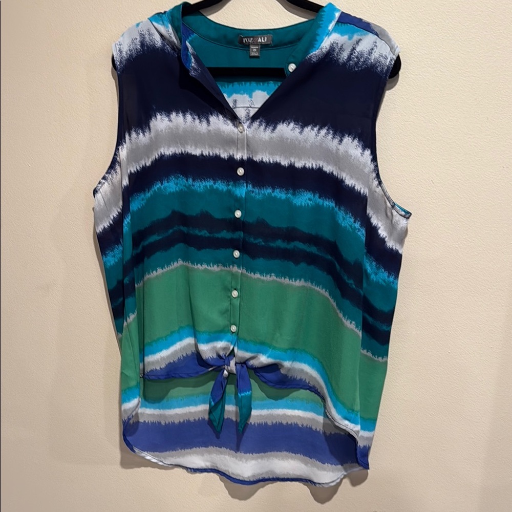 Roz & Ali Blue and Gray Sleeveless Button Down Blouse 2X Sophisticated Chic